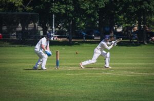 cricket game