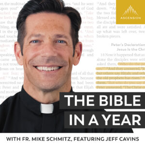 The Bible in a Year with Fr. Mike Schmitz