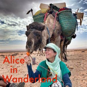 6 travel podcasts alice in wanderland