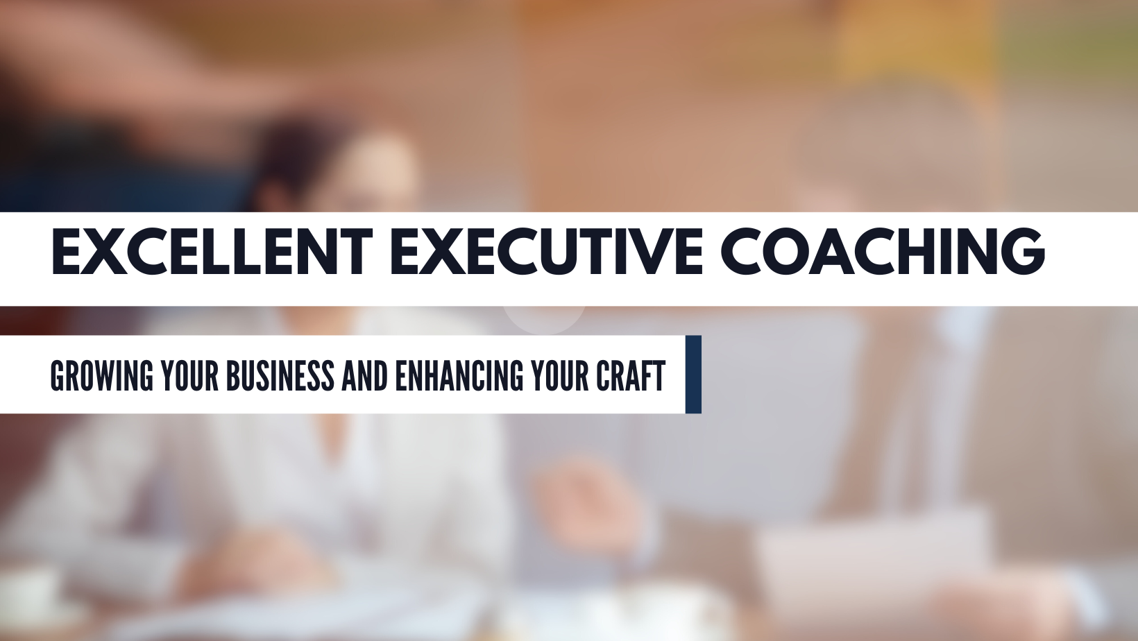 Excellent Executive Coaching